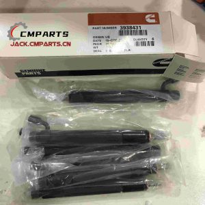 Fuel injector 3938431 C3938431 Cummins 6CT8.3 Diesel Engine Parts Earth-moving Machinery Maintenance parts Chinese supplier