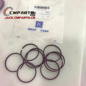 Genuine ZF Piston Ring 7200001534 0734401106 (7200 001 534/0734 401 106) 4WG200 Transmission Gearbox Parts SDLG LG958 Wheel Loader Spare Parts