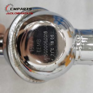 615G00060016 Thermostat Original Weichai Diesel Engine Spare Parts Construction Machinery Parts chinese