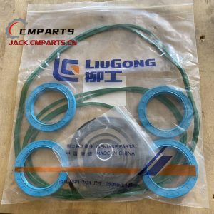Original LiuGong Seal Kit SP103882 LIUGONG ZL50C Wheel Loader Parts Earth-moving Machinery Accesorios china