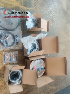 Order SDLG Wheel Loader Spare Parts by Malaysia Completed (Pedido de piezas de repuesto para cargadora de ruedas SDLG en Malasia Completado)