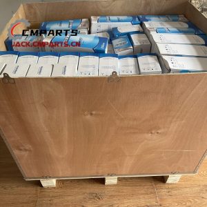 Order WEICHAI Engine Fliter SDLG Side Tooth Road Machinery Spare Parts by Ecuador Completed (Orden WEICHAI Engine Fliter SDLG Side Tooth Road Machinery Repuestos por Ecuador Completado)