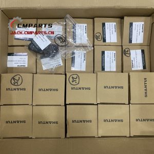 Order Shantui SD16 SD22 SD32 Bulldozer Truck Parts by Congo Completed (Pedido de piezas de camión bulldozer Shantui SD16 SD22 SD32 por Congo completado)