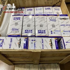 Order XCMG ZL50G Wheel Loader Spare Parts by Malaysia Completed (Pedido de piezas de repuesto para cargadora de ruedas XCMG en Malasia Completado)