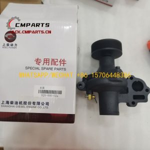 7 Water pump D20-000-02A+A 10.45KG SHANGHAI DIESEL ENGINE D4114 C6121 SC8DK185.2G3 PARTS chinese supplier (11)