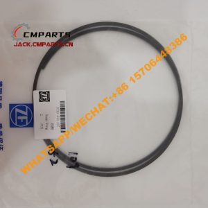 10 109 snap ring 0730513455 0730513456 0730513180 ZF (1)
