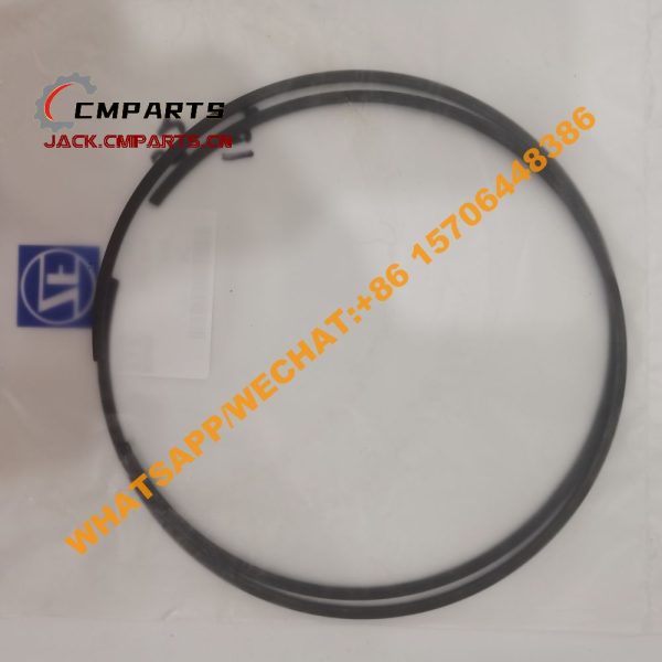 10 109 snap ring 0730513455 0730513456 0730513180 ZF (1)