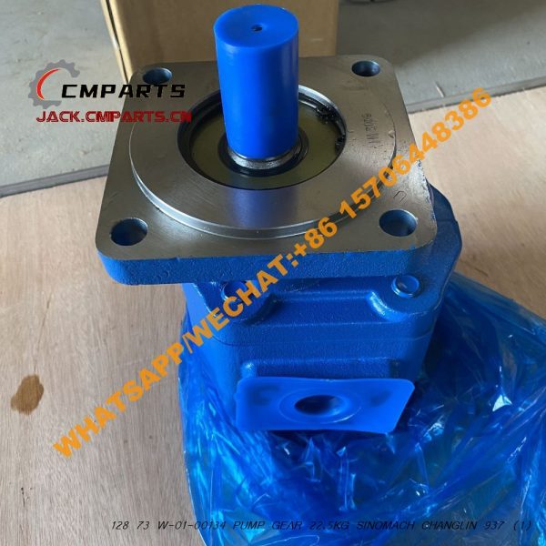 128 73 W-01-00134 PUMP GEAR 22.5KG SINOMACH CHANGLIN 937 (4)