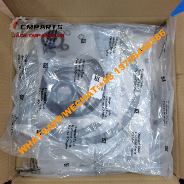 17 4WG200 Repair Kits 0.55KG ZF 4WG200 Gearbox Parts Chinese Supplier (4)