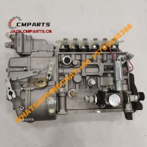 2 2 P10Z002 BHP6PA110 220452277 fuel injection pump 24.3kg (2)