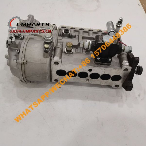 2 2 P10Z002 BHP6PA110 220452277 fuel injection pump 24.3kg (2)