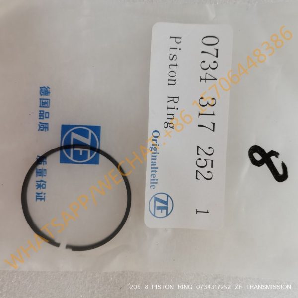 205 8 PISTON RING 0734317252 ZF TRANSMISSION