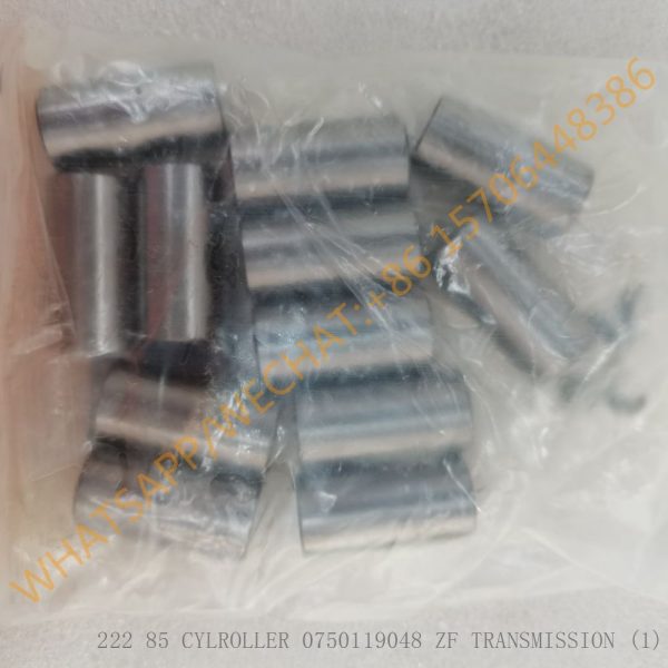 222 85 CYLROLLER 0750119048 ZF TRANSMISSION (2)