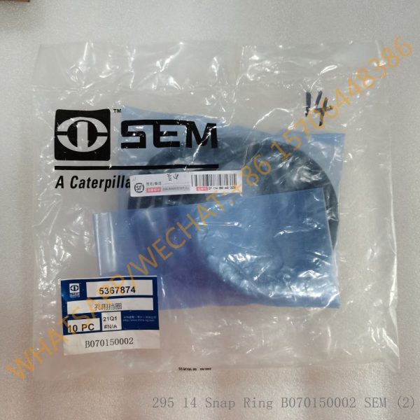 295 14 Snap Ring B070150002 SEM (2)