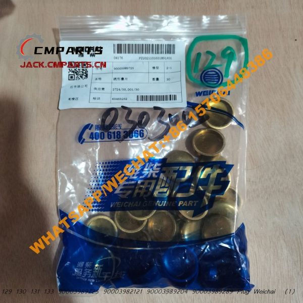 302 129 130 131 133 90003989725 90003982121 90003989204 90003989289 Plug Weichai (2)