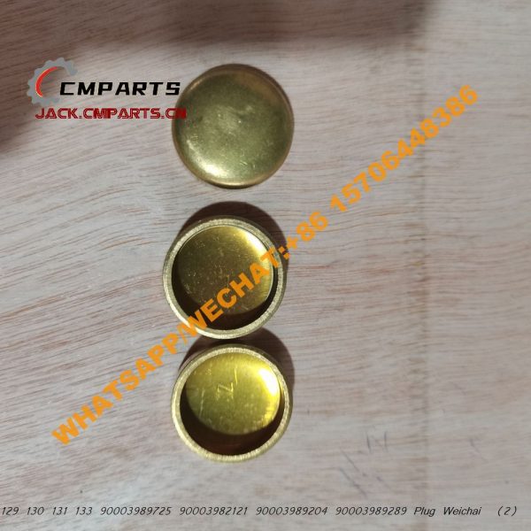302 129 130 131 133 90003989725 90003982121 90003989204 90003989289 Plug Weichai (2)