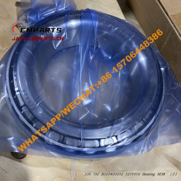 336 192 B120400012 5219956 Bearing SEM (1)