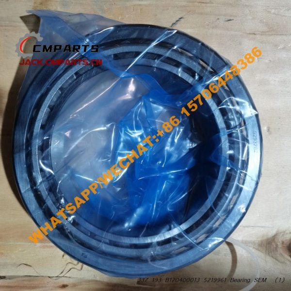 337 193 B120400013 5219961 Bearing SEM (2)