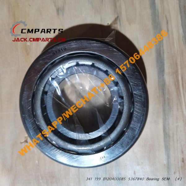 341 199 B120400085 5367840 Bearing SEM (3)