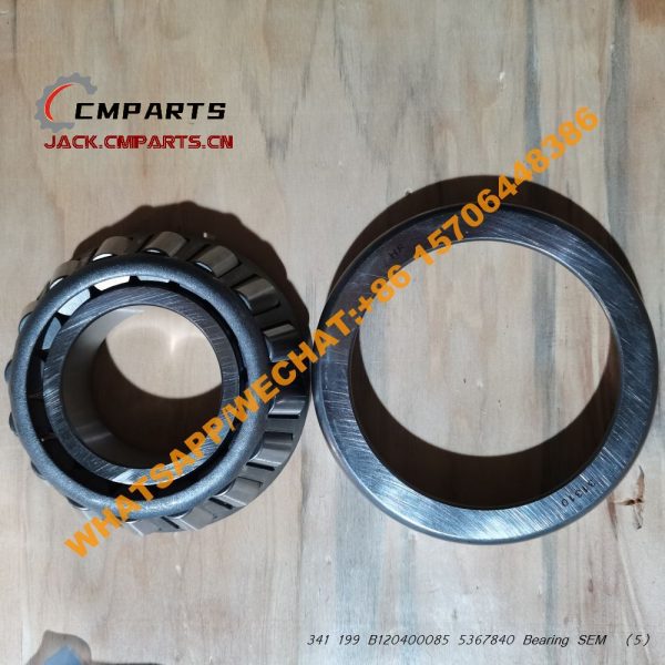 341 199 B120400085 5367840 Bearing SEM (5)