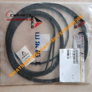 59 5 2030900061 Combination seal ring 0.1kg SDLG (1)