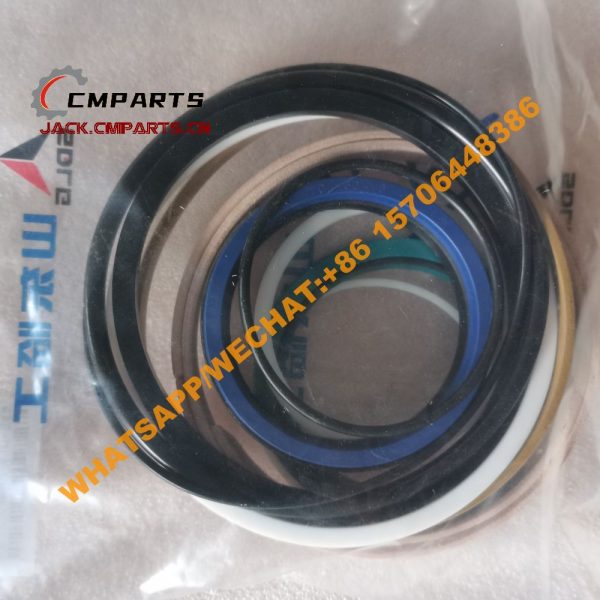 97 91 4120005979001 24A103060S Seal repair kit 0.2KG SDLG (1)