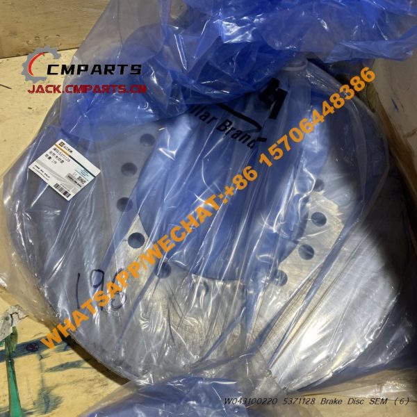 W043100220 5371128 Brake Disc SEM (6)